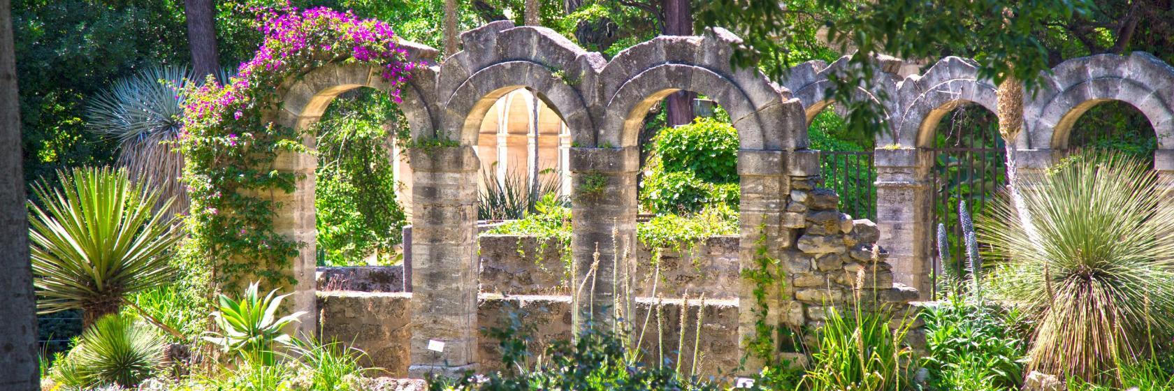 モンペリエ植物園